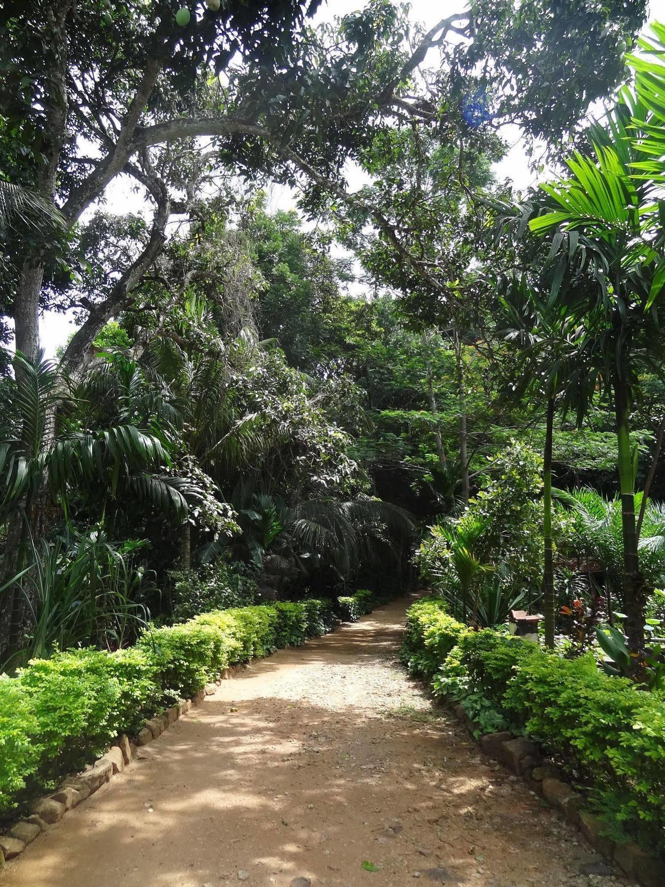 Strathisla Tea Estate Bungalow Matale Exterior foto