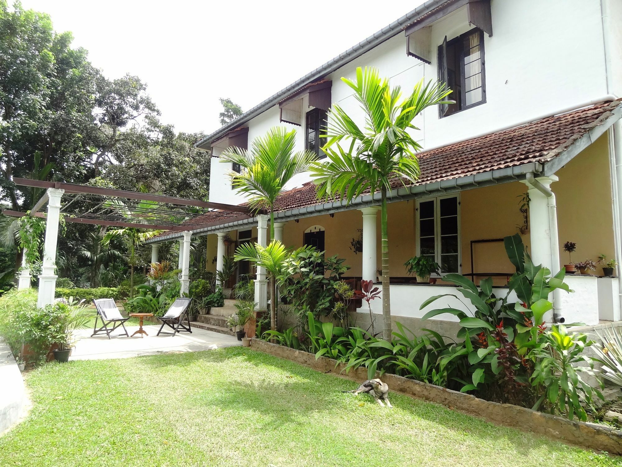 Strathisla Tea Estate Bungalow Matale Exterior foto